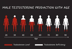 Male Testosterone Production with Age